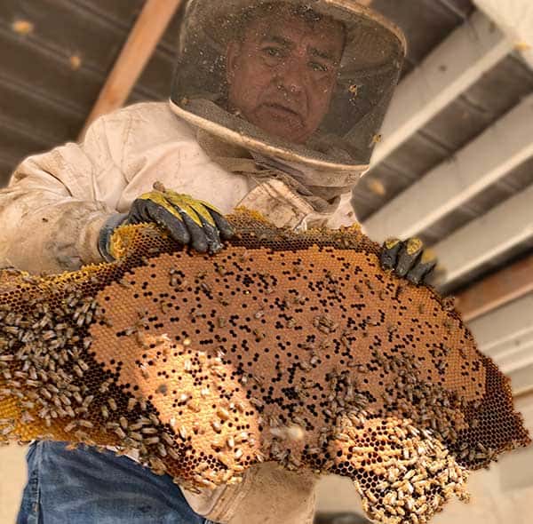 Mario holding honeycomb