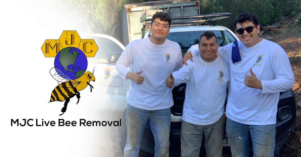 MJC Live Bee Removal